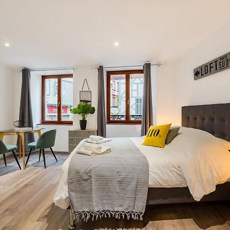 Travel Homes - L'Arsenal, Studios En Hyper Centre Μυλούζη Εξωτερικό φωτογραφία